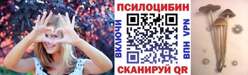 цены blacksprut рабочий сайт Галлюциногенные грибы MAGIC MUSHROOMS Волоколамск